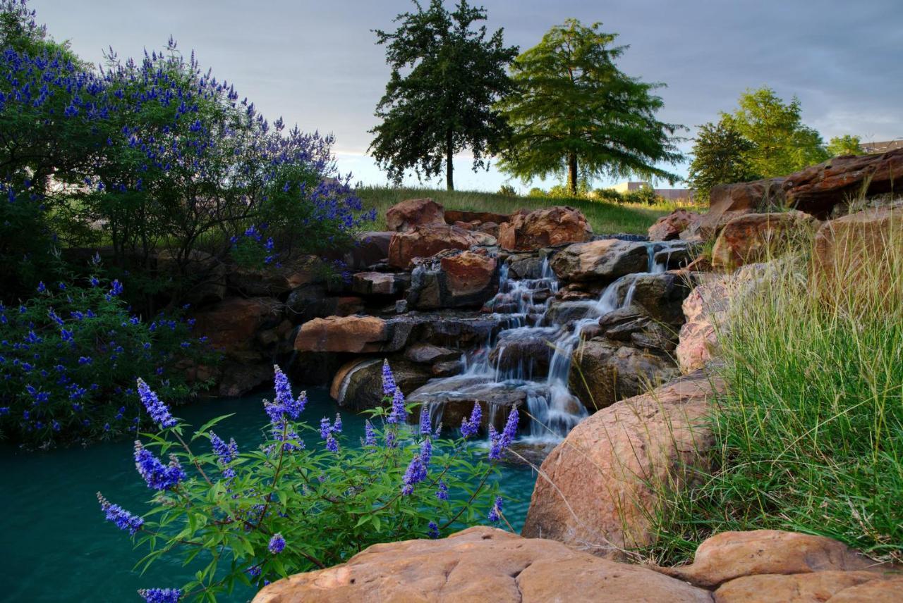 Holiday Inn Express Frisco Legacy Park Area, An Ihg Hotel Esterno foto